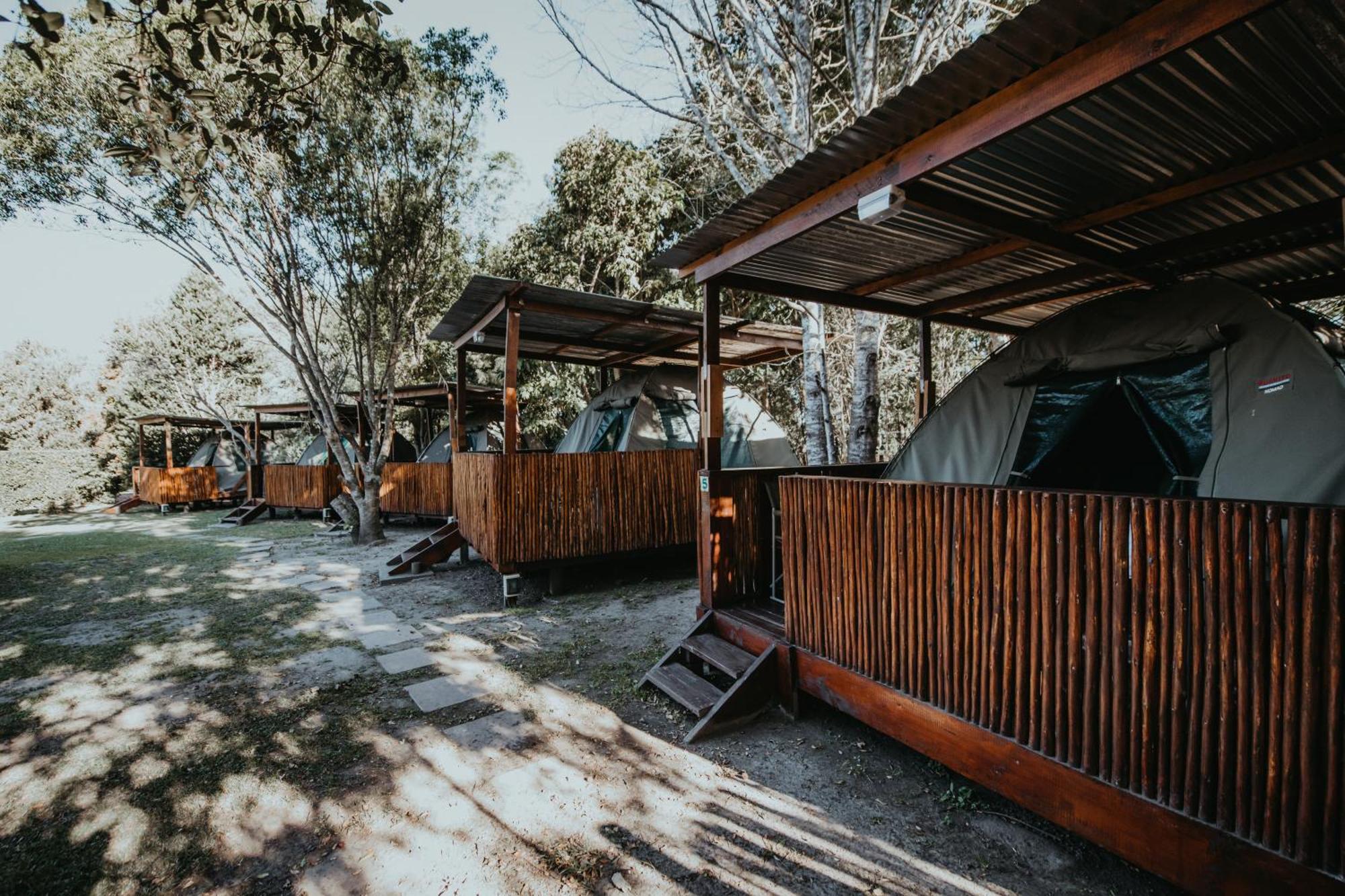 Storms River Forest Lodge Stormsrivier Eksteriør billede