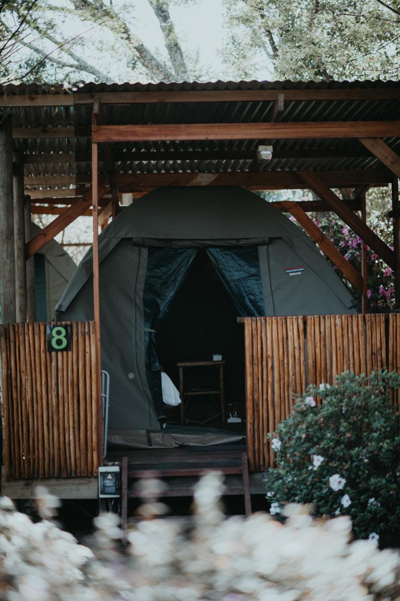 Storms River Forest Lodge Stormsrivier Eksteriør billede