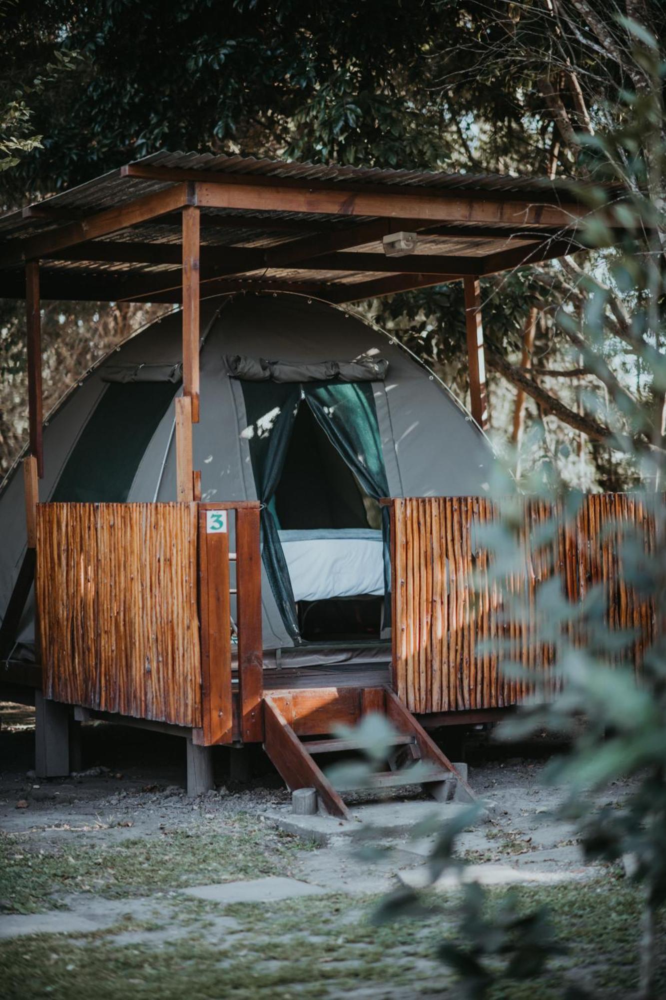 Storms River Forest Lodge Stormsrivier Eksteriør billede