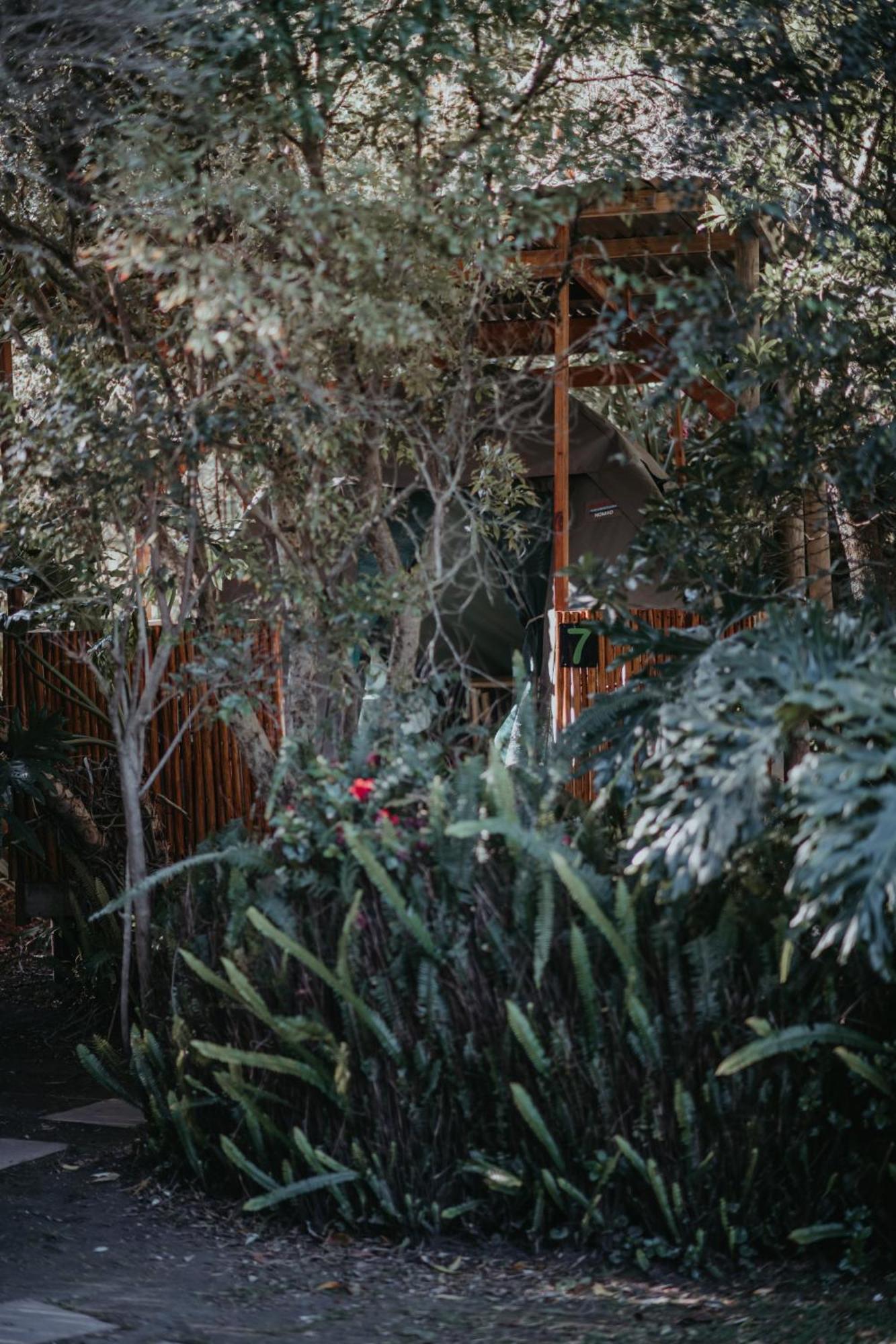 Storms River Forest Lodge Stormsrivier Eksteriør billede
